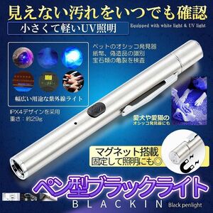 ペン型UVライト ペン型 スマート ブラックライト 充電式 磁石 蛍光ライト IYP365 UV 懐中電灯 BLACKIN