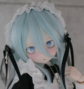 DDH-27 カスタムヘッド(SW肌)＋デカールレジンアイ＋ウィッグ MDD【TUSK】