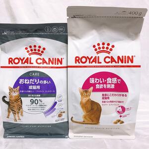 ロイヤルカナン　おねだりの多い成猫用　と　食事にこだわり　味わい・食感で食欲刺激　キャットフード　ネコ　ねこ　猫