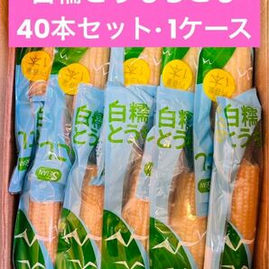 もちもち白糯玉米 白糯とうもろこし 真空パック 白玉米 黏玉米 トウモロコシ 40本（1ケース）