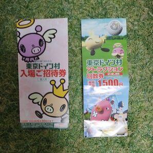 東京ドイツ村 入園ご招待券＋乗り物チケット