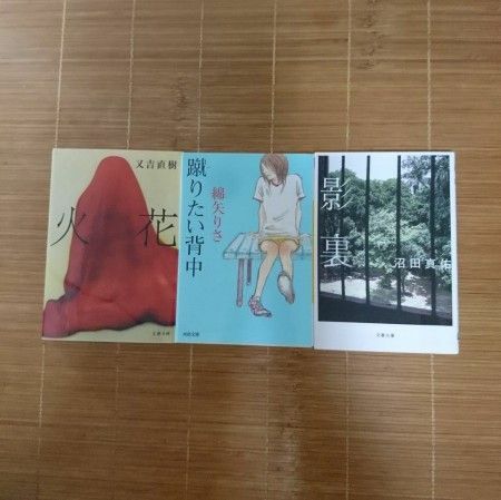 芥川賞受賞作 火花 蹴りたい背中 影裏 文庫本 3冊