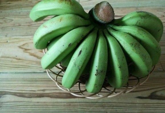 石垣島産 自然栽培 台湾バナナ 3kg