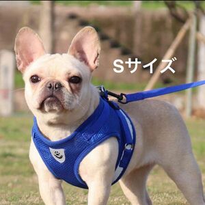 新品 犬 猫 ハーネス リード 2点セット 胴輪 散歩 反射テープ ブルー Sサイズ お出掛け 調整可能 手洗い可