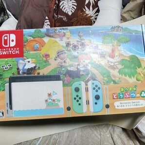 Nintendo Switch　あつまれ　どうぶつの森　本体 あつまれどうぶつの森セット 初期化済み ソフトDL不可