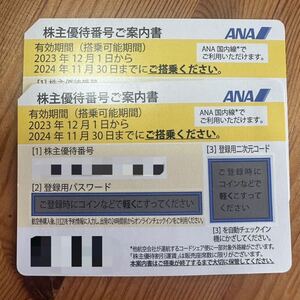 ANA 株主優待 2枚 全日空 2024年11月30日迄　番号通知のみ　送料無料