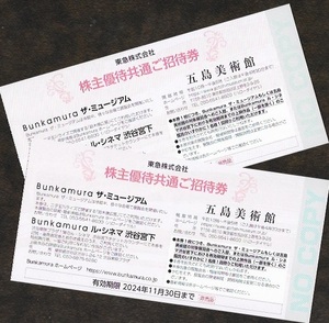 *Bunkamuraru*sinema Shibuya . under,Bunkamura The * Mu jiam invitation ticket *2 pieces set *