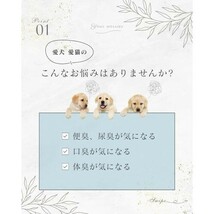 犬猫用 口臭 体臭 糞尿臭 ケア 液体サプリ 200ml ×２ まとめ買いお得セット 日本製_画像2