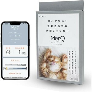  cat. water silver inspection kit MerQ(meru cue )