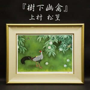 Art hand Auction Uemura Shoko Ghost Bird Under the Tree 175/180 طباعة حجرية مؤطرة فن جميل لوحة فنية نادرة موقعة باليد ومضمونة أصلية, عمل فني, مطبوعات, الطباعة الحجرية, الطباعة الحجرية