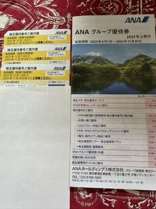 ANA 全日空　株主優待券　３枚セット+グループ優待券