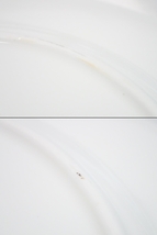 5193[A]綺麗♪【WEDGWOOD◆ウェッジウッド】フロレンティーン ターコイズ/プレート ケーキ皿 6枚セット/直径：約15.4ｃｍ/洋食器_画像8