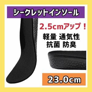 6547 ー大特価ー Senteria シークレット インソール 中敷き 衝撃吸収 軽量 通気性 抗菌 防臭 日常生活 身長アップ （2.5cm、230mm）