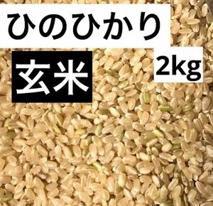 米　ひのひかり　2キロ 無選別　玄米　保冷庫保存　ダイエット　玄米ご飯