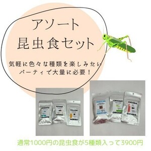 【今話題？】昆虫食 アソート 5種類 セット販売 まとめ売り 15種類 安全 はまる食品