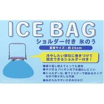 くまのがっこう 氷のう アイシングバッグ ころころおともだち 熱中症対策_画像5