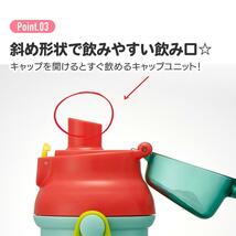 こびとづかん 水筒 プラワンタッチボトル 抗菌 食洗機対応 直飲み カクレモモジリ スケーター_画像8