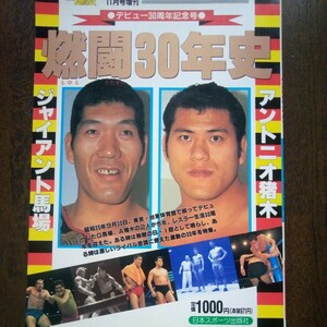 ゴング格闘技　燃闘30年史　日本スポーツ出版社