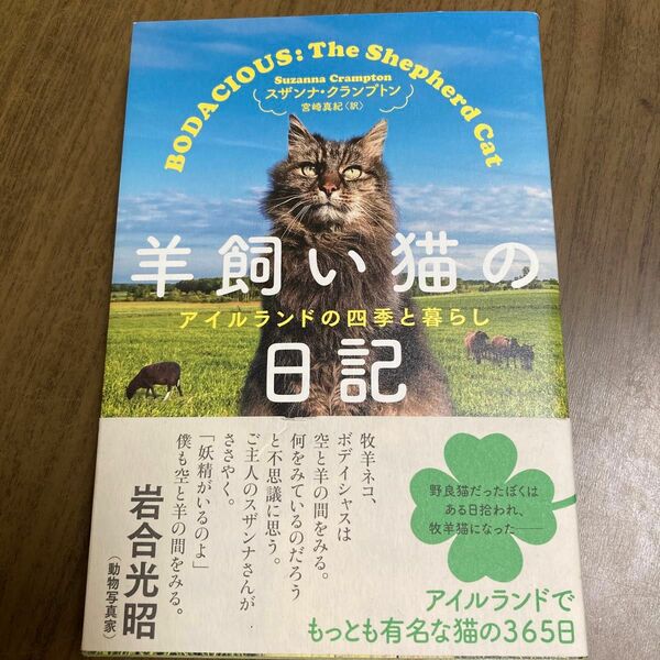 羊飼い猫の日記　アイルランドの四季と暮らし スザンナ・クランプトン／著　宮崎真紀／訳