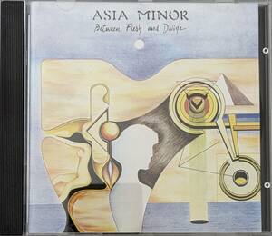 【フランス盤CD】アジア・ミノール Asia Minor / Between Flesh And Divine（Musea - FGBG 4035.AR）