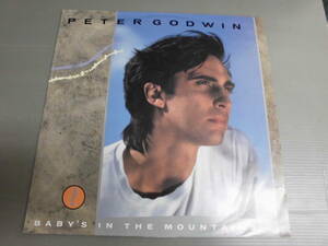 PETER GODWIN/BABY'S IN THE MOUNTAINS/2844