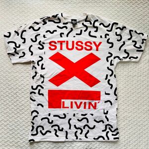 STUSSY ストゥーシー　Tシャツ