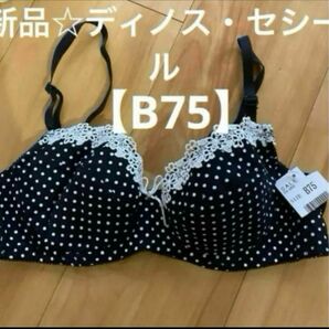 新品☆ディノス・セシール☆ブラジャー【B75】