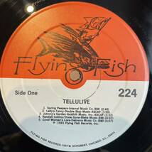 【US盤Org.】 Norman Blake, Country Gazette, Doc Watson etc. 1979 Telluride Bluegrass & Country Music Festival Flying Fish FF 224_画像3