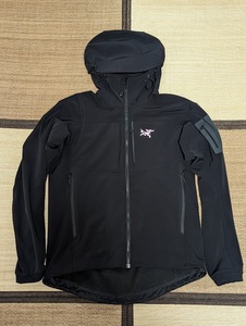 ARC'TERYX (アークテリクス) Gamma MX Hoody Men's (ガンマ MX フーディ メンズ) 19274