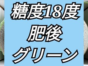 肥後グリーンメロン5Ｌサイズ2玉入り