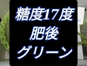 肥後グリーンメロン　10.