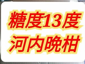 河内晩柑4Ｌサイズ