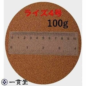 ライズ4号 100g (粒径0.58～0.84mm) 日清丸紅飼料 小分け品 メダカ めだか エサ 餌 送料無料