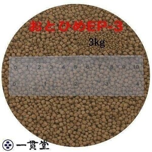 おとひめEP3(約2.9～約3.3mm) 3kg(500g×6袋) 沈降性(沈下性) 日清丸紅飼料 金魚 アロワナ 肉食魚に