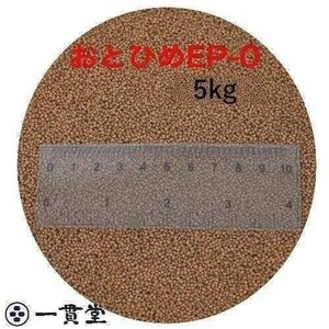 魚の餌 おとひめEP0(約1.3mm) 5kg(500g×10袋) 沈降性(沈下性) 日清丸紅飼料 金魚 アロワナ 肉食魚に　倉出し　 10002348