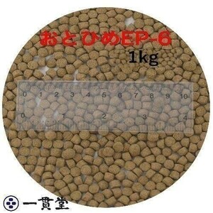 o...EP6( примерно 5.4mm~ примерно 6.4mm) 1kg(500g×2 пакет )...(. внизу .) день Kiyoshi круг .. стоимость золотая рыбка аравановые мясо еда рыба .