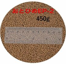 日清丸紅飼料 おとひめEP2 450g (1.9～2.0mm) 沈降性(沈下性)450g小分け品 金魚 餌 500gから規格変更 10002512_画像1