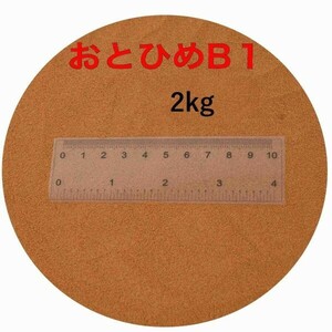 おとひめB1 2kg 新品未開封(沈下性)(0.2～0.36mm) 日清丸紅飼料 メダカ 金魚 熱帯魚の餌に 送料無料 倉出し　110077