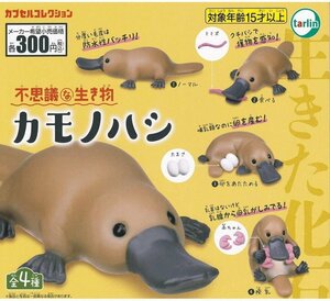 不思議な生き物 カモノハシ 全4種セット (1) フルコンプ ガチャガチャ カプセルなし 未開封品【1円スタート】 ◆