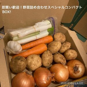 即買い歓迎！野菜詰め合わせスペシャルコンパクトBOX!