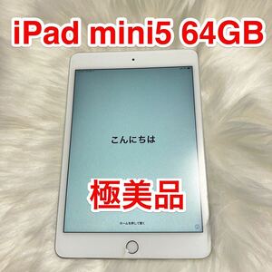 iPad mini5 64GB серебряный б/у 