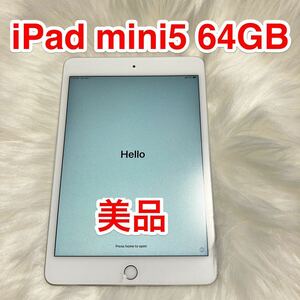 iPad mini5 64GB シルバー 中古品