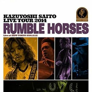 【中古】斉藤和義 2014 ライブ 「RUMBLE HORSES」初回限定盤 2CD+写真集