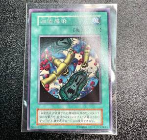 遊戯王 初期 vol.7 細菌感染 レア スタジオダイス 管理S349