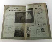 3年の科学　11月　69年　水さいばい・橋の形３つのひみつ　学研_画像5