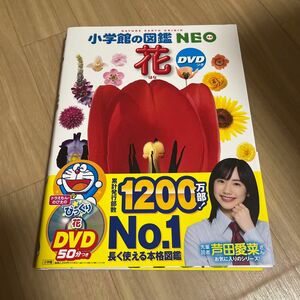 小学館の図鑑NEO 花 DVDなし