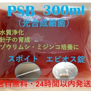 PSB（光合成細菌）300ml エビオス錠・スポイト付