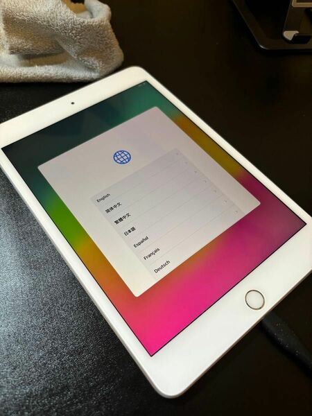 ④Apple iPad mini(第5世代)A2133 Wi-Fi シルバー 256GB