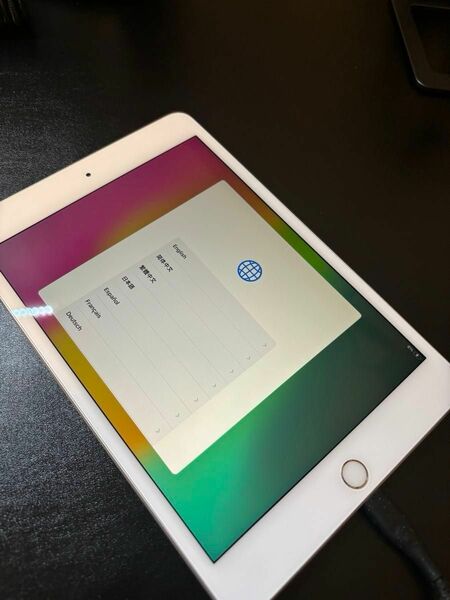 ⑤Apple iPad mini(第5世代)A2133 Wi-Fi シルバー 256GB
