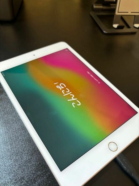 ③Apple iPad mini(第5世代)A2133 Wi-Fi シルバー 256GB